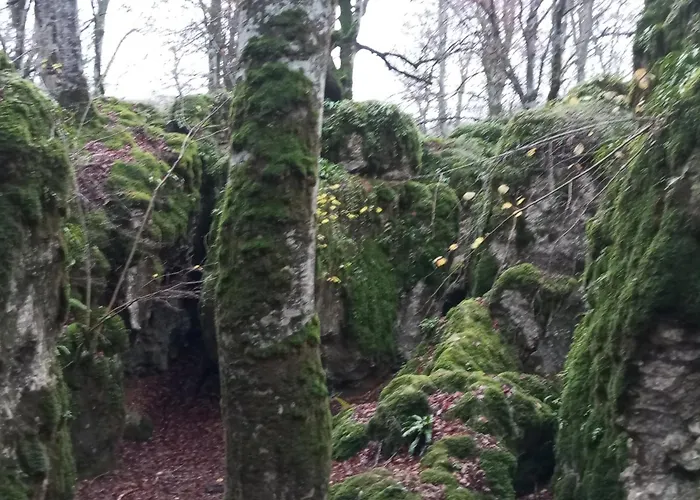 Maittia-Larraona
