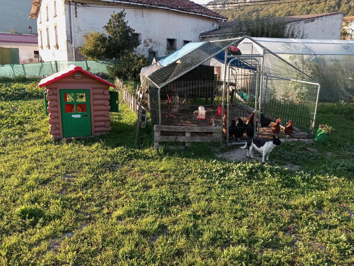Maittia-larraona Homestay Larraona